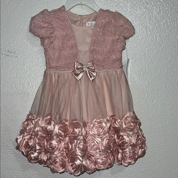 Nannette Other - Nannette Pink Rosette Formal Dress Toddler size T3